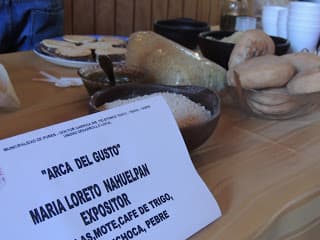 SE REALIZO MUESTRA CULINARIA, EN PURÉN