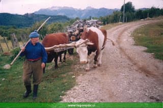 CAMINO PARA CARRETAS
