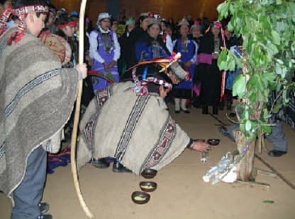 FELIZ AÑO NUEVO MAPUCHE EN PURÉN