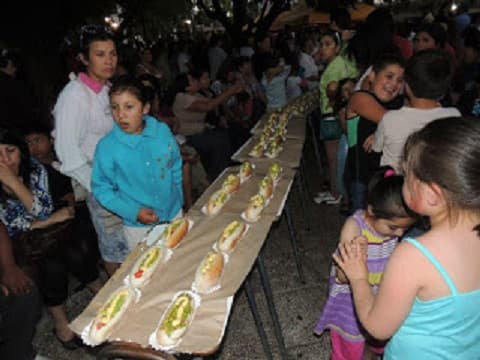 COMPLETADA MAS LARGA DEL SUR DE CHILE, EN PURÉN