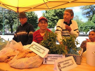 FERIA ARTESANAL Y HORTÍCOLA, EN PURÉN