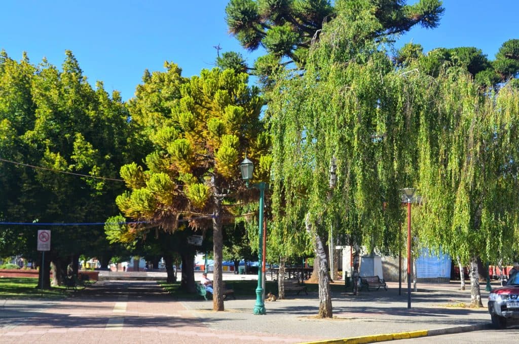 CENTRO PLAZA DE PUREN
