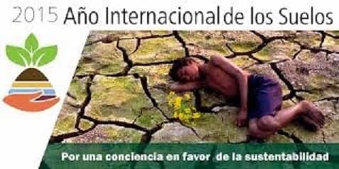 AÑO INTERNACIONAL DEL MEDIO AMBIENTE 2015, EN PURÉN