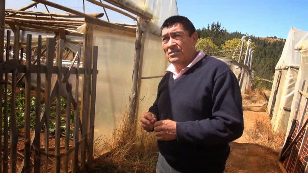 AGUSTÍN TRAMOLAO INNOVADOR Y PERSEVERANTE, EN PURÉN.