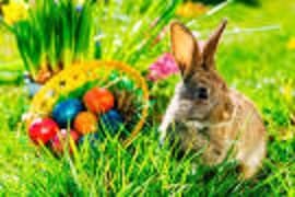 REGALAR HUEVOS DE CHOCOLATE EN PASCUA DE RESURRECCIÓN