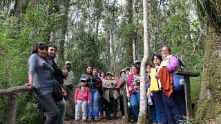 ADULTOS MAYORES VISITARON MONUMENTO NATURAL CONTULMO