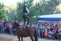 QUINTA EXPO PURÉN