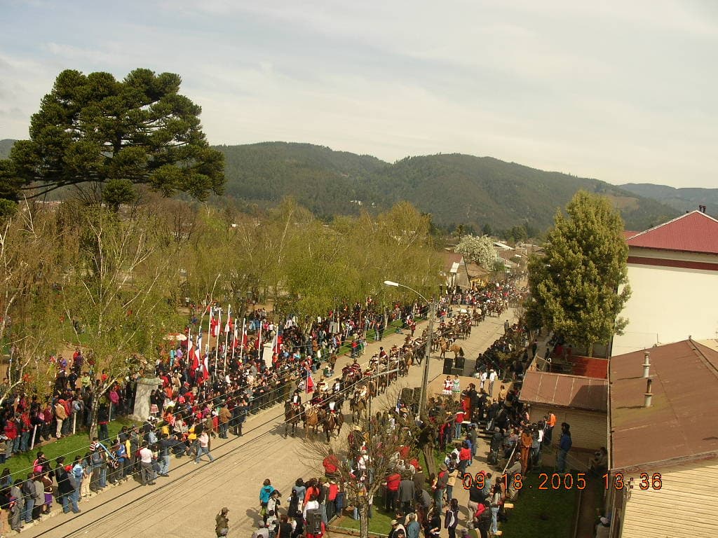 PELANTARO-DE-FRENTE. PELANTARO-DE-FRENTE.