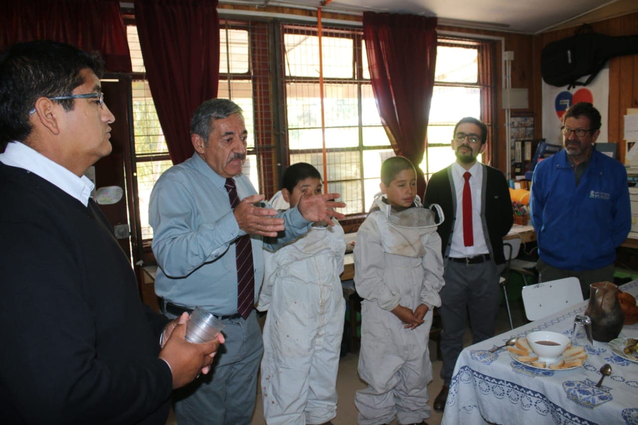 APICULTURA EN ESCUELA HUITRANLEBU DE PURÉN
