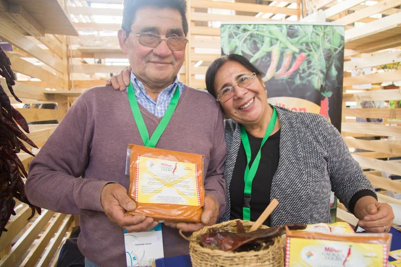 GERARDO COLIPI COLIPI EMPRENDEDOR DE PURÉN