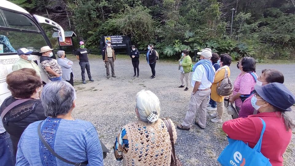 programa «vinculos» visitÓ «Monumento natural contulmo», DE LA COMUNA DE PURÉN