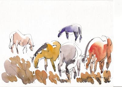 NEGOCIANTES DE CABALLOS