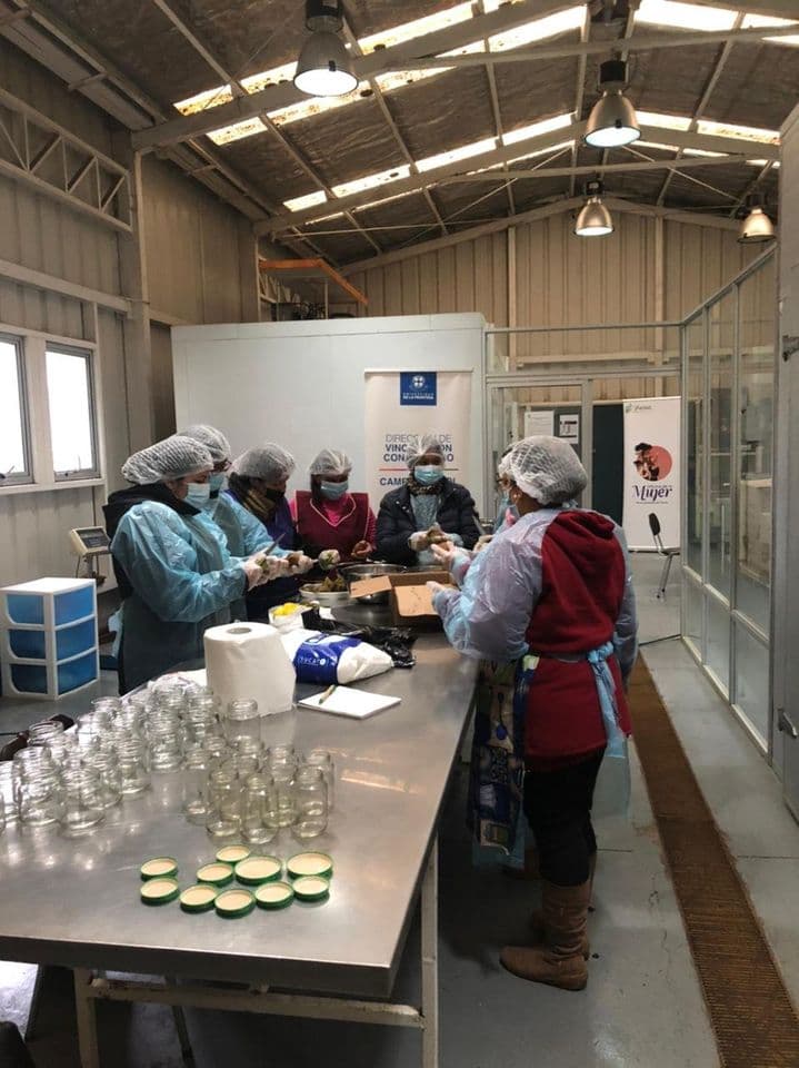 12 EMPRENDEDORAS DE PURÉN FINALIZARON TALLER FORMATIVO EN LA UFRO – SEDE ANGOL,