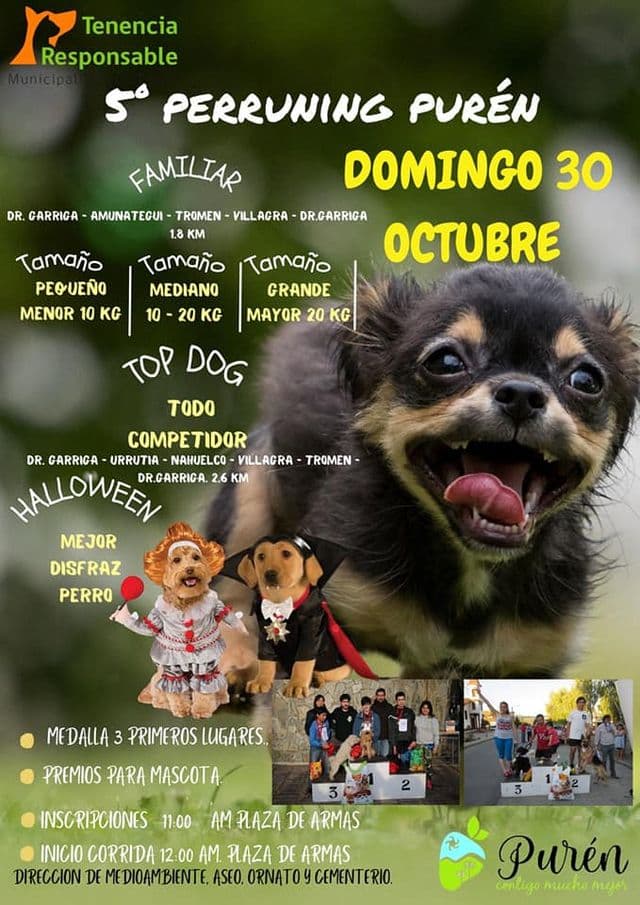 En Purén 5ta. PERRUNIG BUSCANDO A LOS «TOP DOG»EL DOMINGO 30 DE OCTUBRE