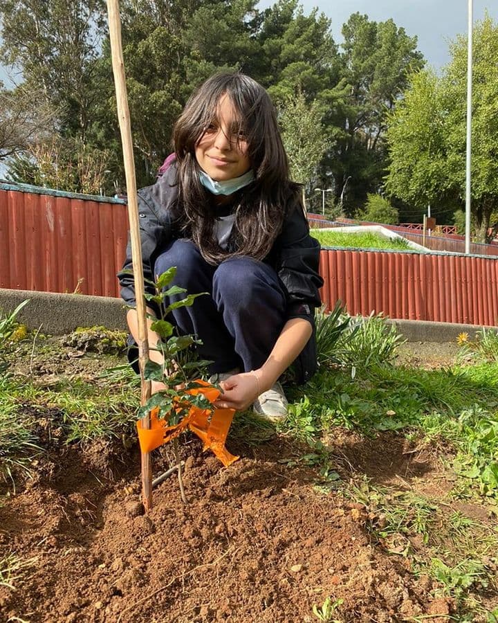 ALUMNOS DE ESC «P DE OÑA» EN ARBORIZACIÓN PARQUE HISTÓRICO. EN PUREN
