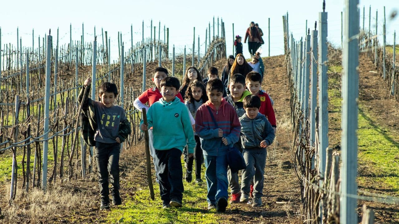 PROGRAMA DE 4 A 7: ESTUDIANTES VIAJARON A CONOCER LAS VIÑAS DE «BUCHAHUEICO», EN PURÉN
